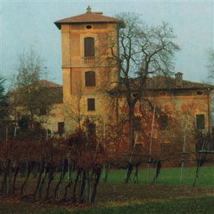 Nessuna offerta per l’acquisto di Villa Menotti: la prossima asta a maggio