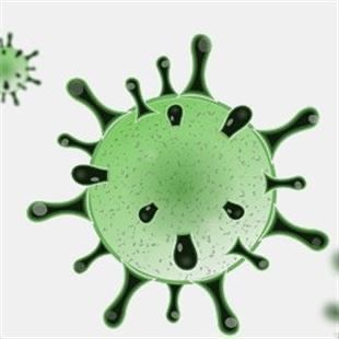 Coronavirus: 2 nuovi casi a Fiorano, in tutta la provincia 62