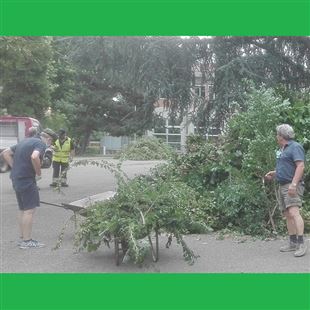 Alpini, AVF e Volontari della Sicurezza sistemano la siepe del parco Di Vittorio