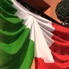 Festa della Repubblica con la Prefettura di Modena: Medaglia d’Onore per Paolo Pesenti