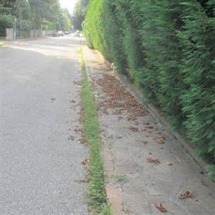  Pulizia dei marciapiedi. Ecco le strade interessate 