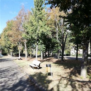 “Parchi vivi”: via al percorso di restyling del parco di Vittorio 