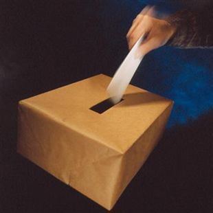 Elezioni regionali 2020: ecco le sezioni elettorali fioranesi