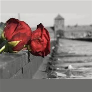 Arte e cultura: una mostra dedicata alla Giornata della Memoria 