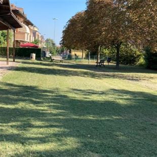 Degrado al parco S. Rocco, i residenti: “Collaborazione per porre fine a certi comportamenti”
