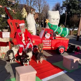 Comitato Fiorano in Festa: appello ai giovani per l'organizzazione del Sempre Maggio Fioranese