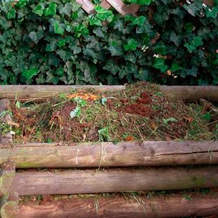 Giardini e compostaggio: un corso gratuito tra Maranello e Fiorano