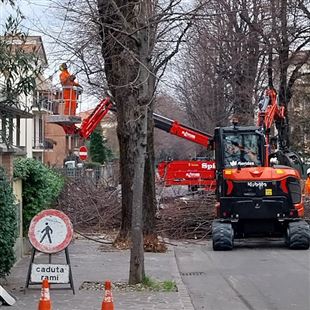 Potature e marciapiedi: iniziati i lavori di riqualificazione del centro