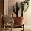 La collezione SensiTerre di Florim riceve il Green Good Design Award 2025